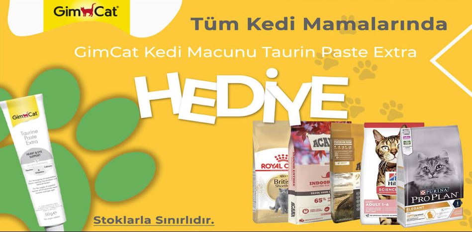 Hayvanınız Adına Her şey! Nereden Alınır?