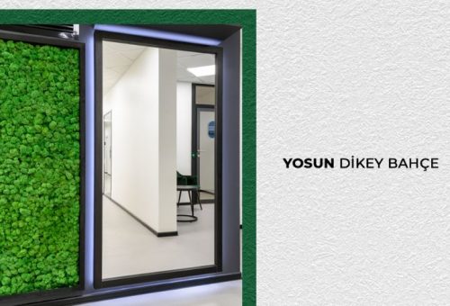 Dikey Bahçe nedir? Şehir Yaşamında Yeşilin Yükselişi ve Çevresel Faydaları