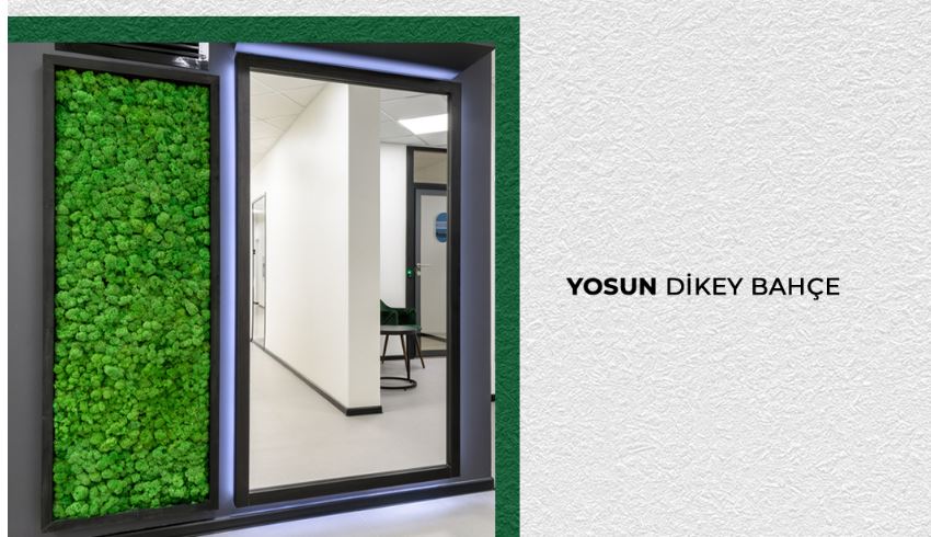 Dikey Bahçe nedir? Şehir Yaşamında Yeşilin Yükselişi ve Çevresel Faydaları