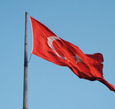 Türk Kimliği Araştırması Nasıl Yapılır? Adım Adım Rehber