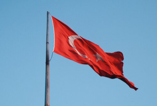 Türk Kimliği Araştırması Nasıl Yapılır? Adım Adım Rehber